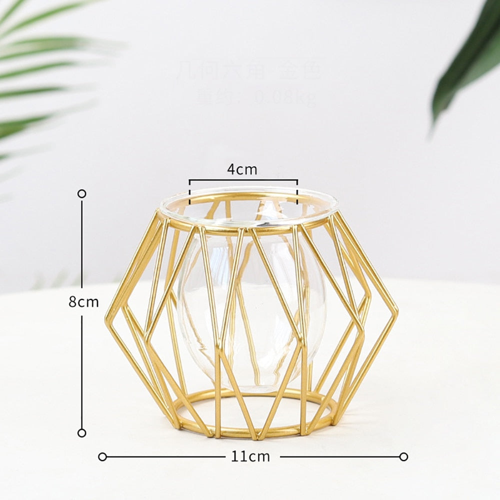 Hydroponic Plant Flower Iron Line Vase